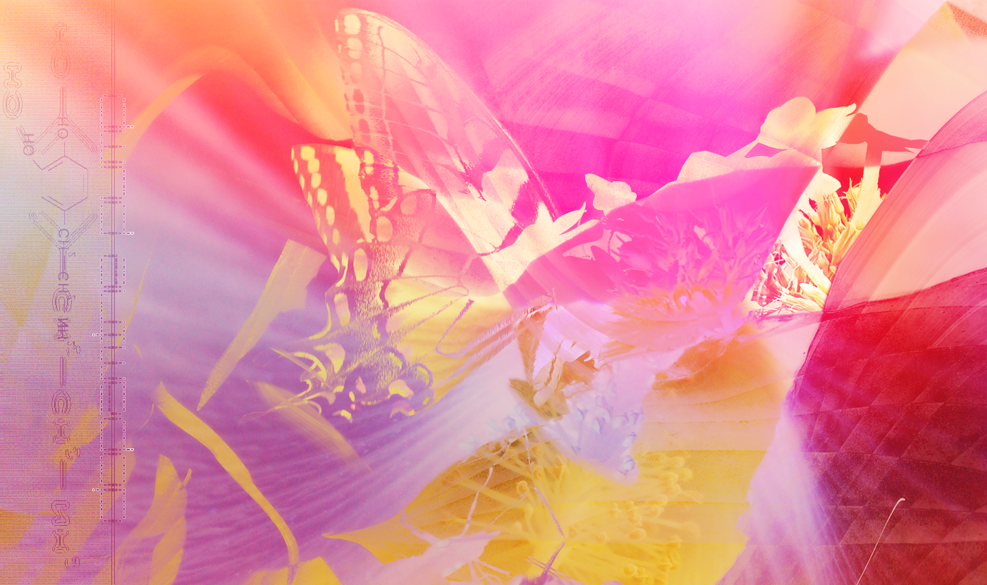 crystalSeed-MPEG-4_800Kbps.mp4